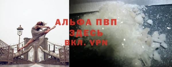 индика Алексин