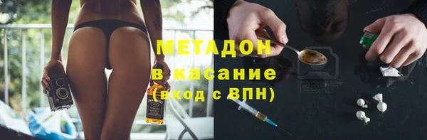 сатива Россошь