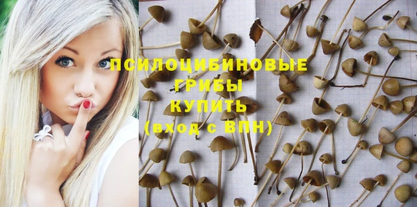 молекула духа Рославль