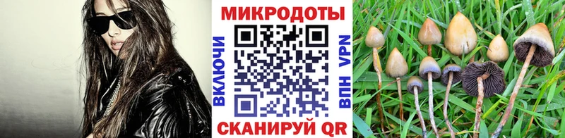 Галлюциногенные грибы мухоморы  Полысаево 