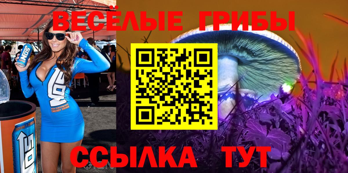 Псилоцибиновые грибы MAGIC MUSHROOMS Полысаево